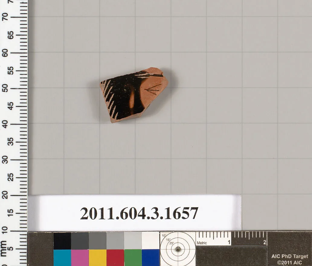 Terracotta fragment of a kylix: Band cup (drinking cup) — Unknown