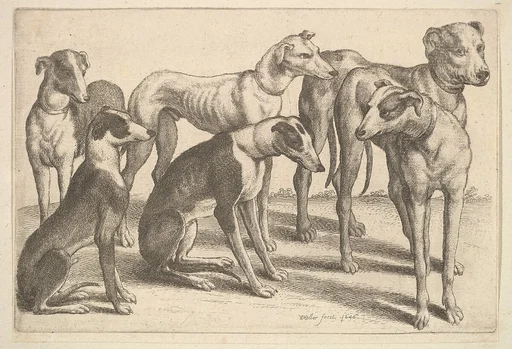 Six Hounds