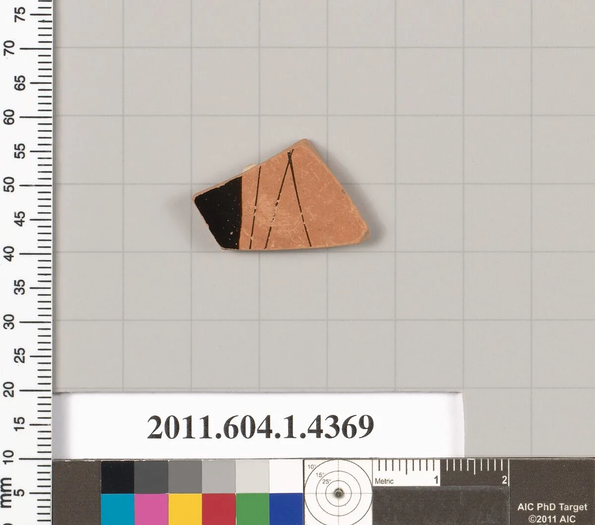 Terracotta fragment of a kylix (drinking cup) — Unknown