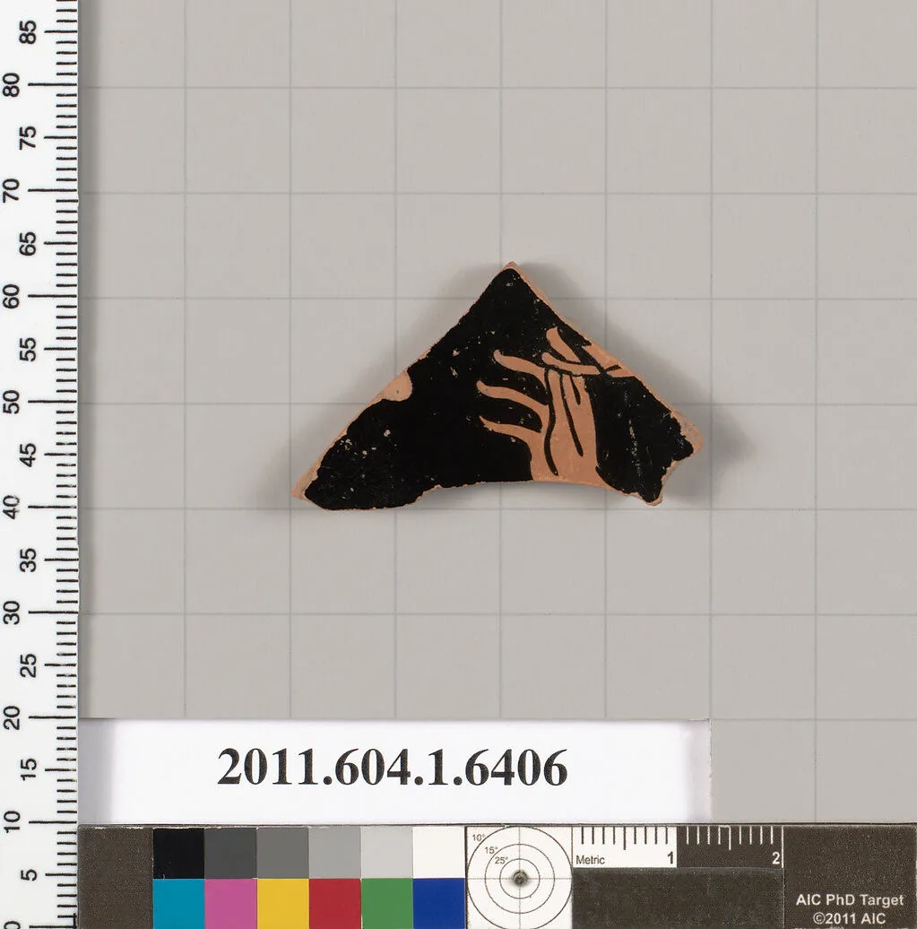 Terracotta fragment of a kylix (drinking cup) — Unknown