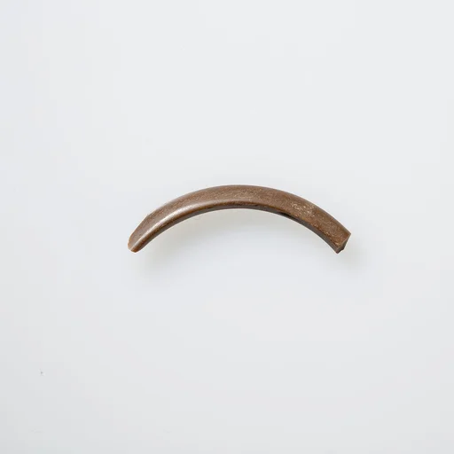 Bracelet (Bangle) Fragment