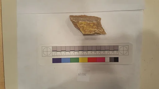 Stucco Fragment