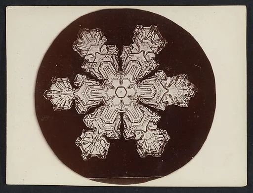 [Snow Crystal]