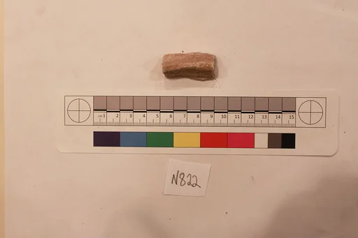 Stucco Fragment