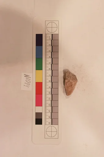 Stucco Fragment