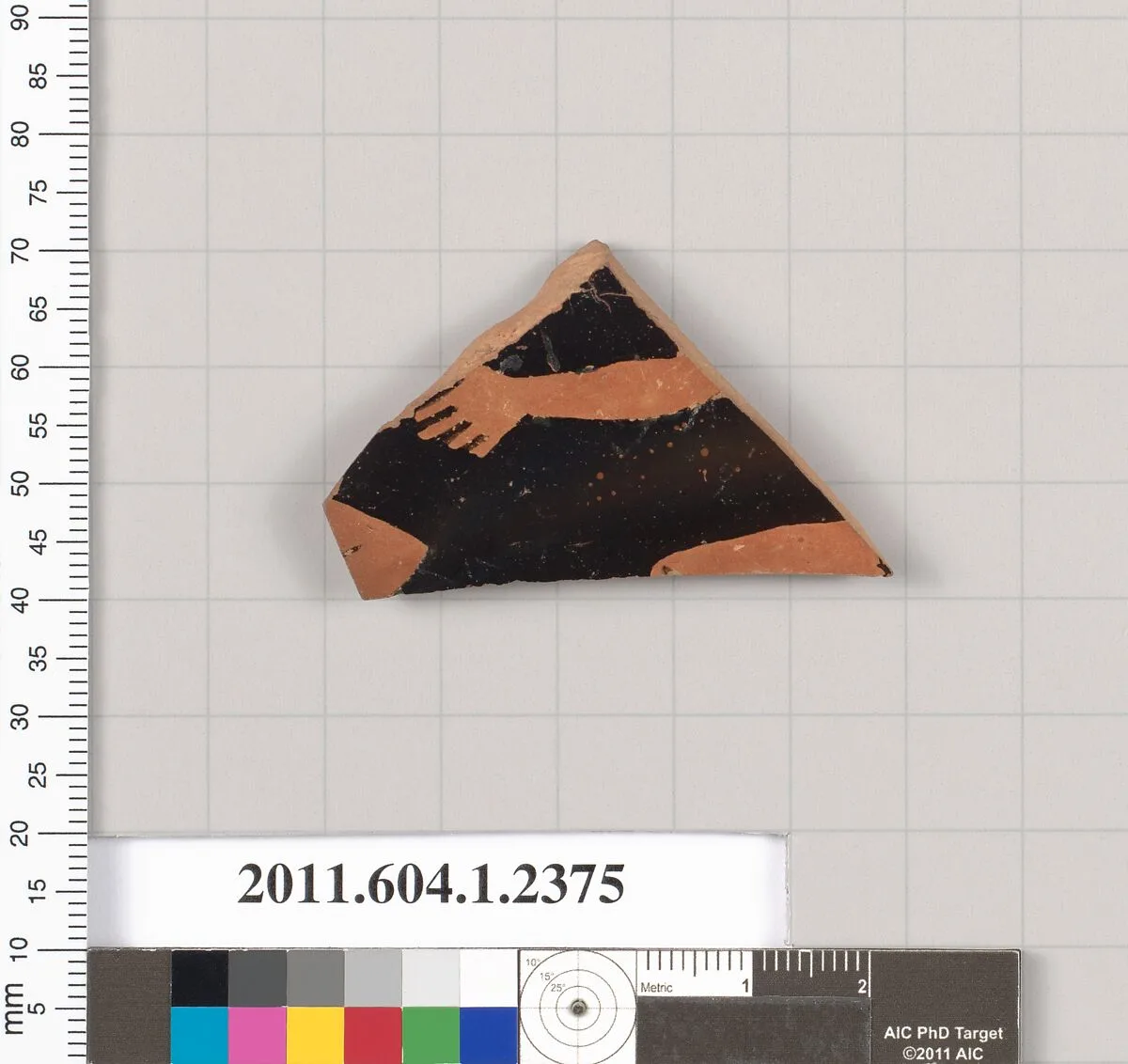 Terracotta fragment of a kylix (drinking cup) — Unknown