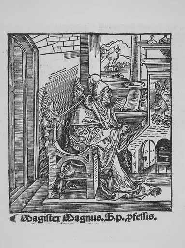 Revelationes Sancte Birgitte