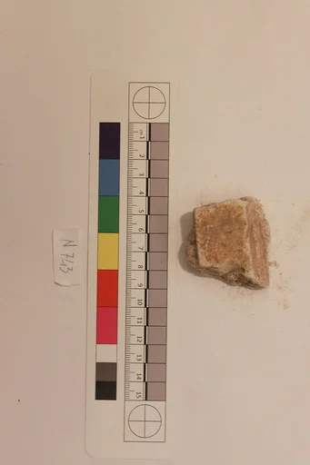 Stucco Fragment