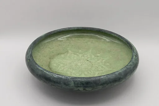 Dish