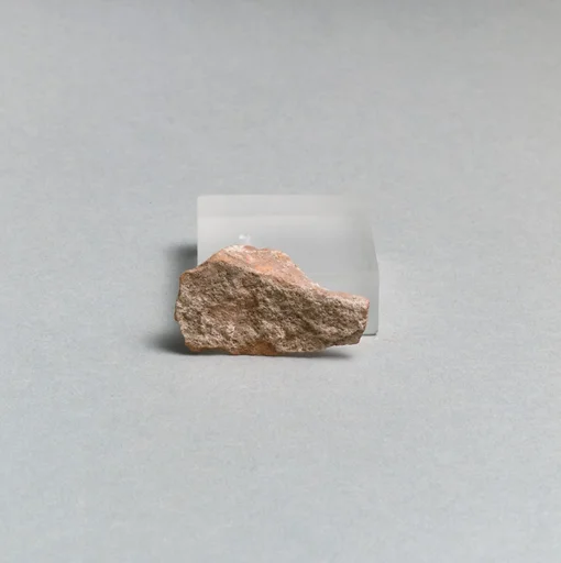 Vase fragment