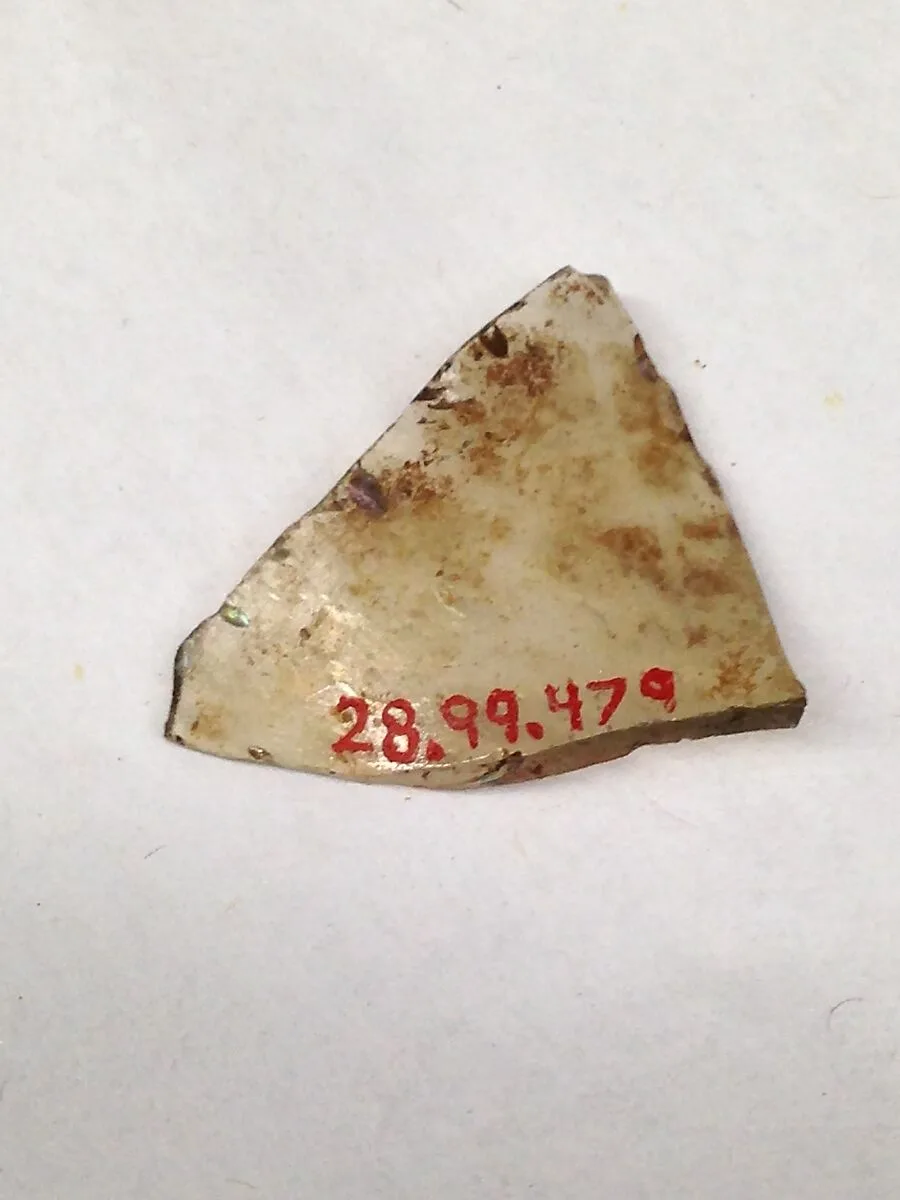 Fragment — Unknown