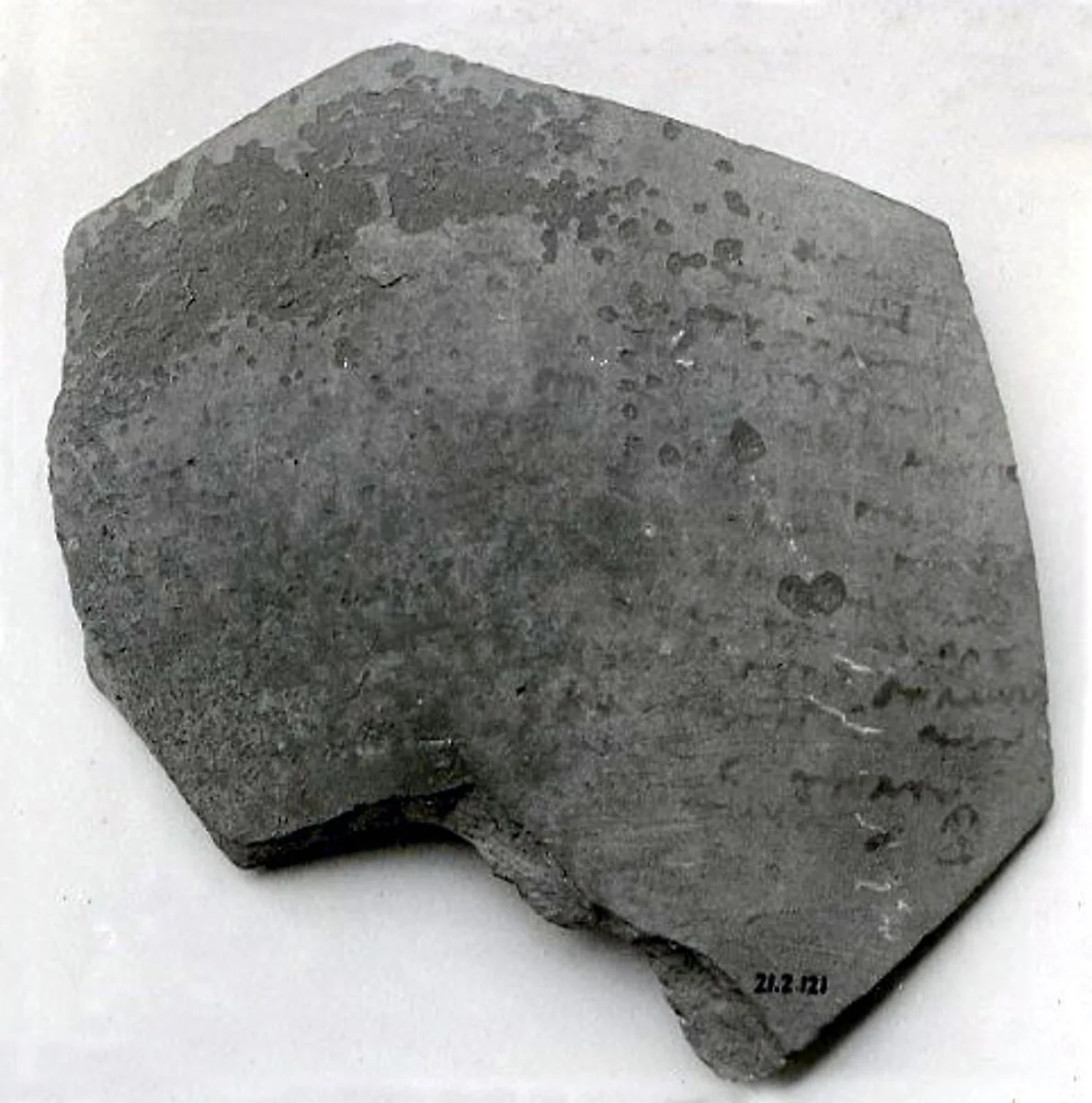 Ostracon — Unknown