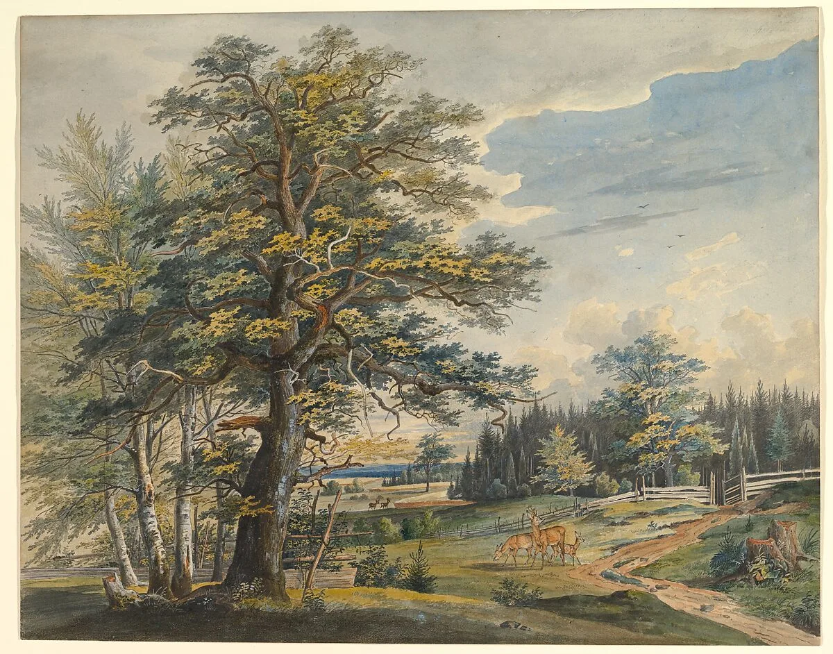 Wooded Landscape with Stag — Carl August Lebschee