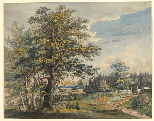 Wooded Landscape with Stag