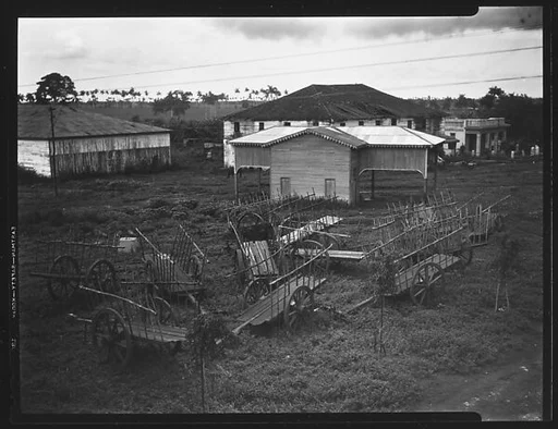 [Wagons and Farm Buildings of Sugar Refinery, Cuba]