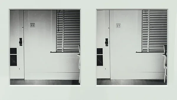 Light Off / Light On — William Wegman
