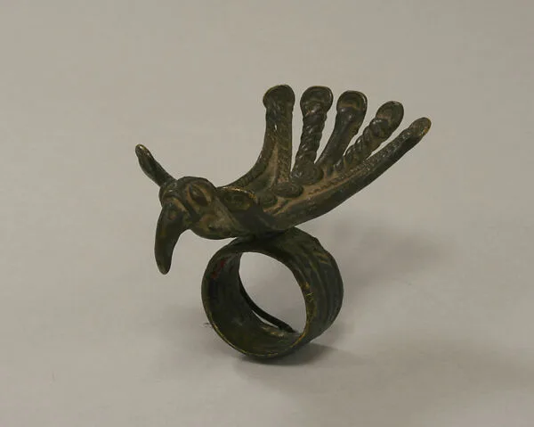 Ring: Bird — Unknown