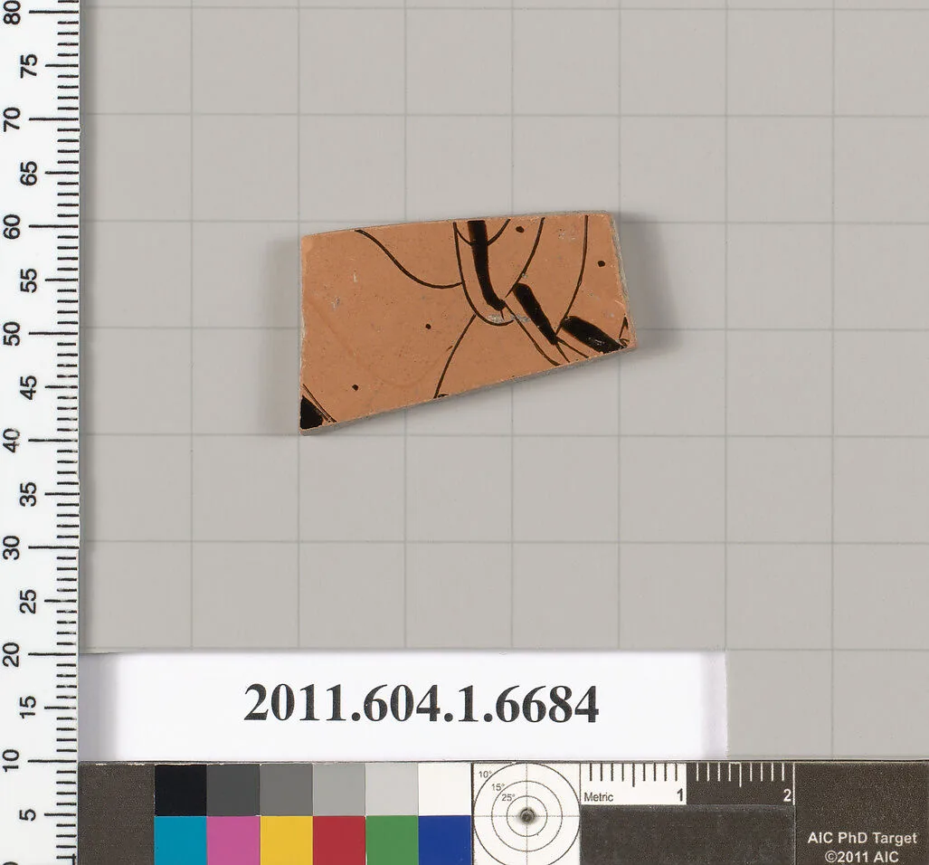 Terracotta fragment of a kylix (drinking cup) — Unknown