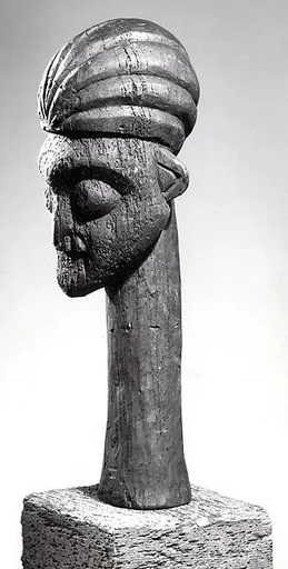 Head Crest