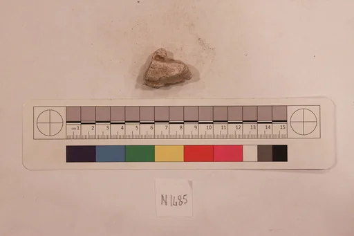 Stucco Fragment
