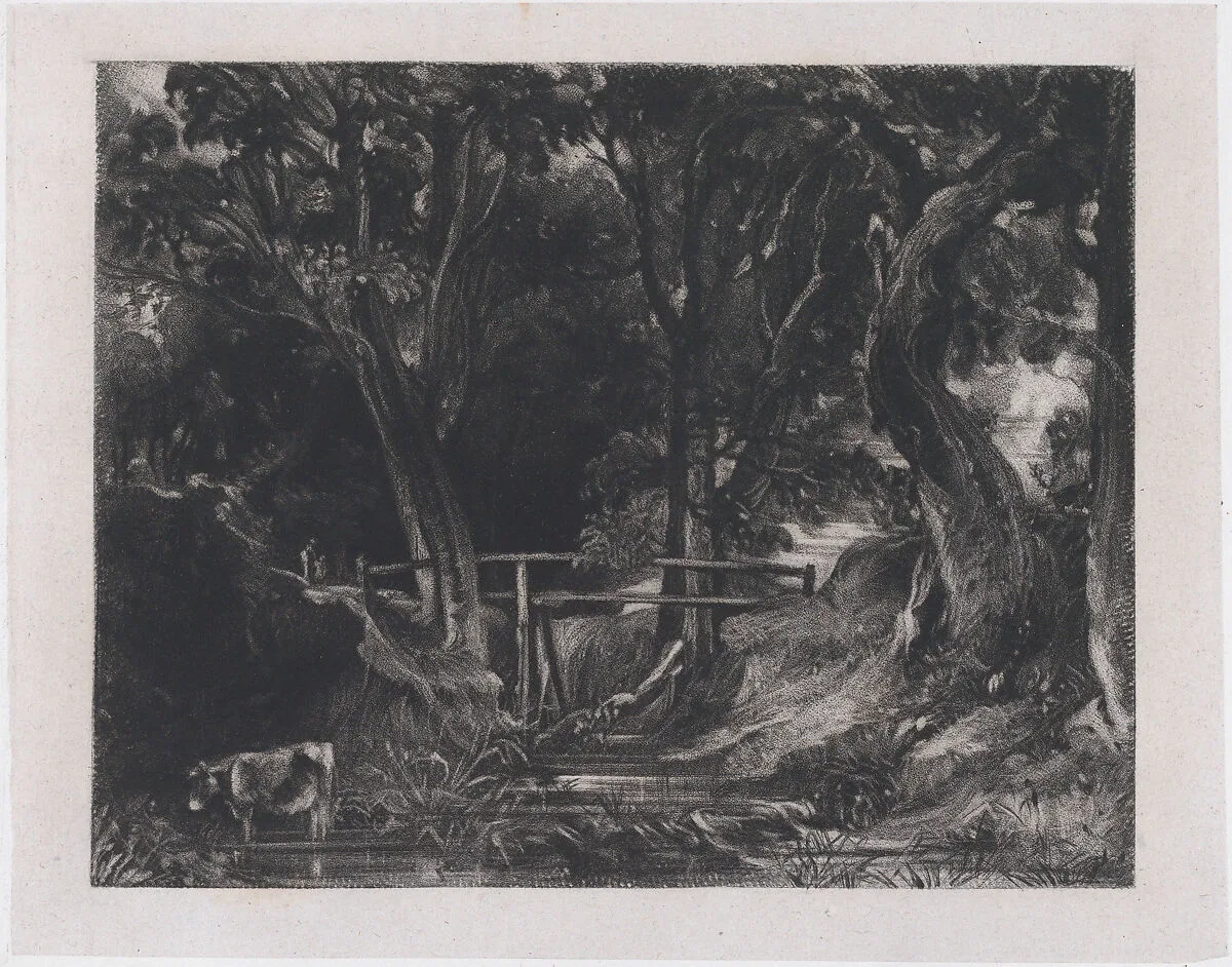 A Dell, Helmingham Park, Suffolk — David Lucas|John Constable