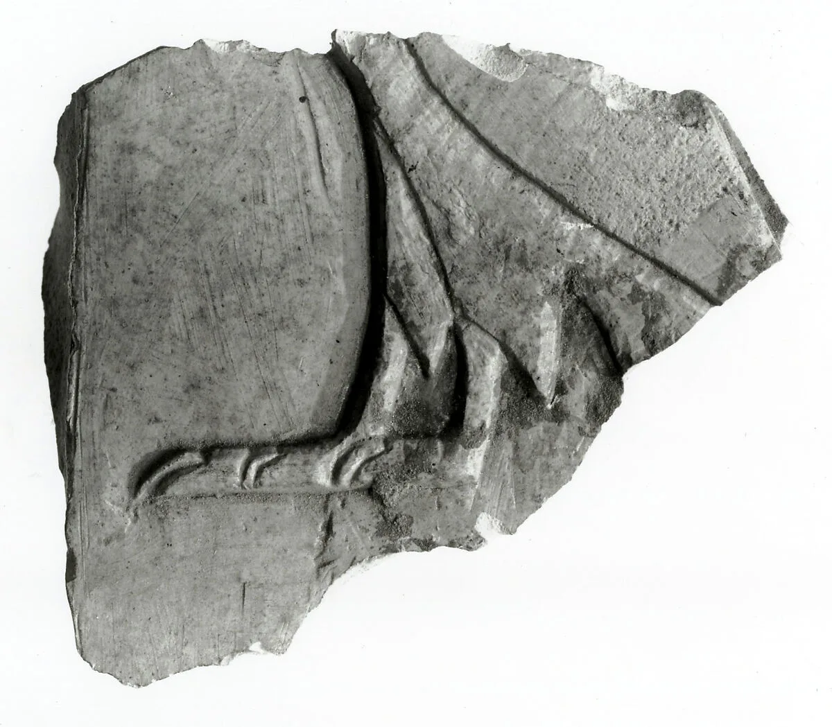 Raised relief fragment — Unknown