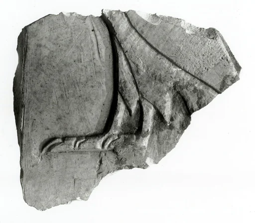Raised relief fragment