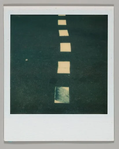 [Lane Divider]