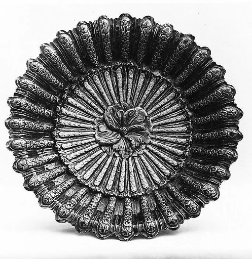 Dish