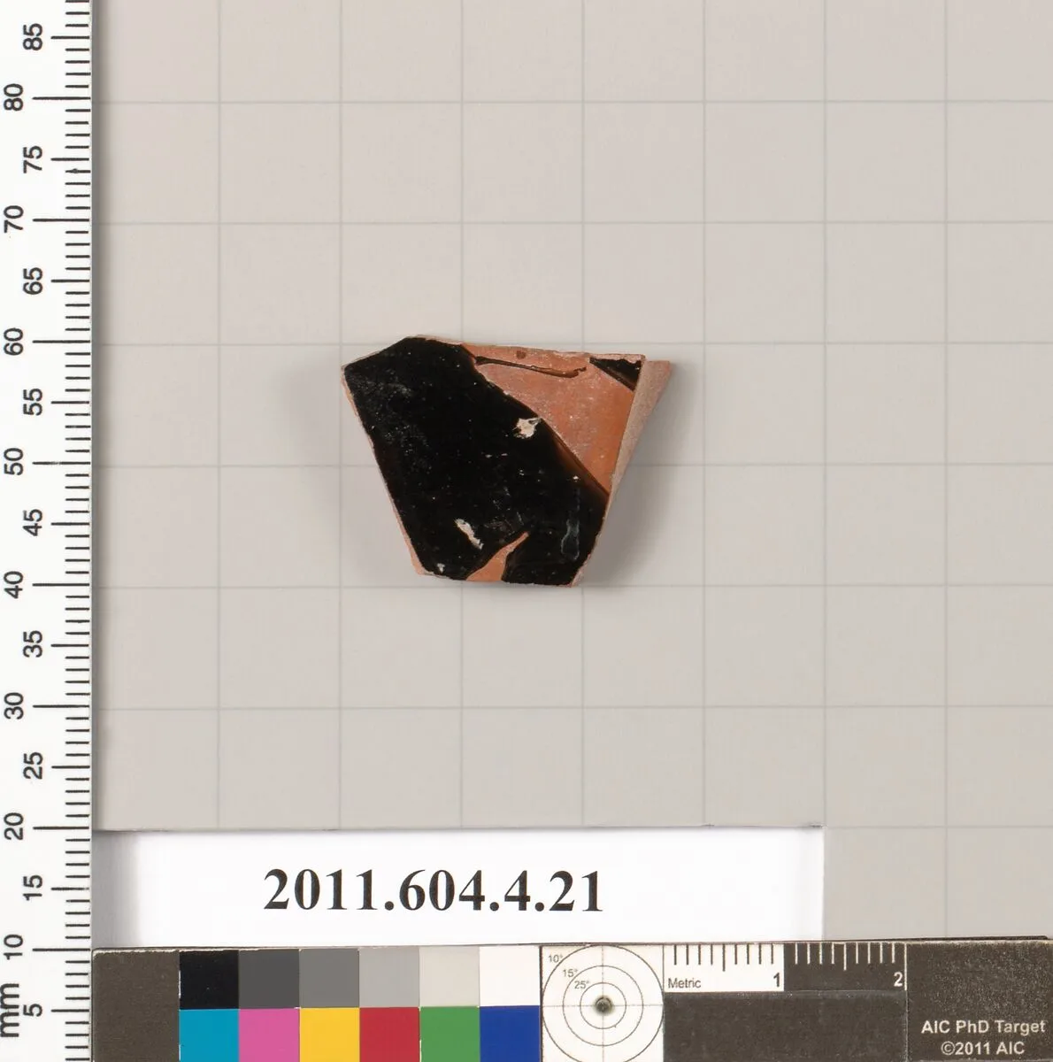 Terracotta fragment of a kylix (drinking cup) — Unknown