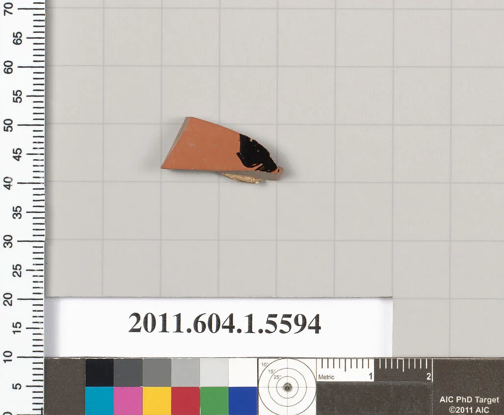Terracotta rim fragment of a kylix (drinking cup) — Unknown
