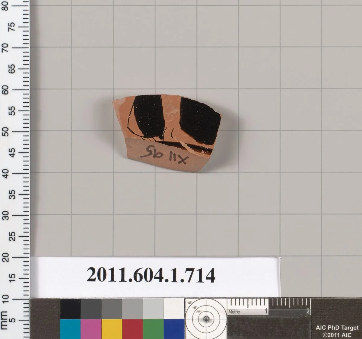 Terracotta fragment of a kylix (drinking cup) — Unknown