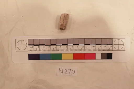 Stucco Fragment
