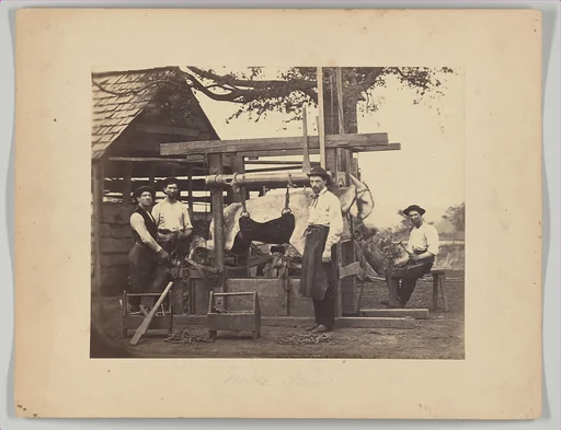 Mule Stock, Camp Nelson, Kentucky