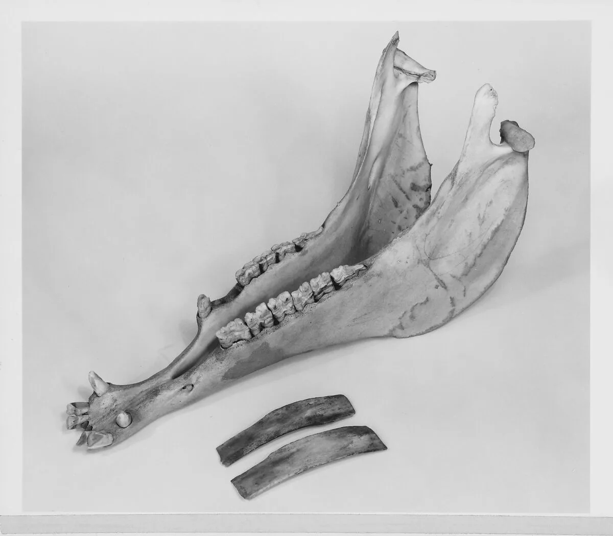 Scraper — Unknown