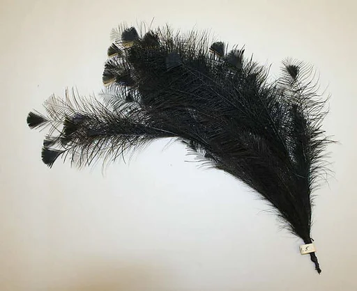 Aigrette
