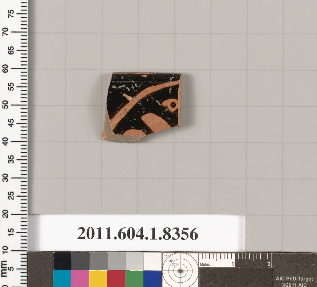 Terracotta rim fragment of a kylix (drinking cup) — Unknown