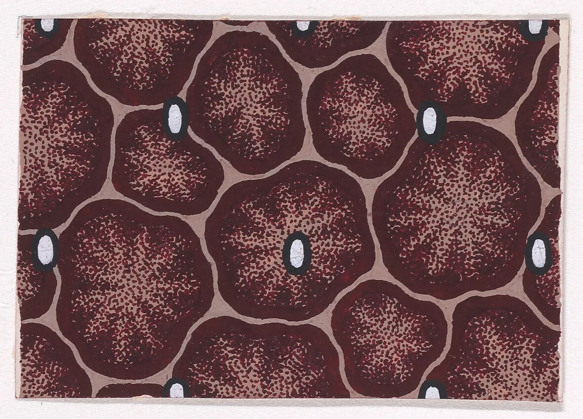 Textile Design with Animal Print Decorated with Pearls — Anonymous, Alsatian, 19th century