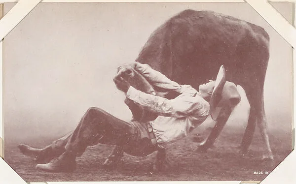 Cowboy wrestling bull from Indians and Western Historical Scenes series (W417) — Unknown