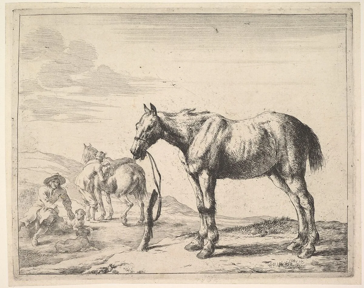 Horse Bound to a Post, turned left — Dirck Stoop