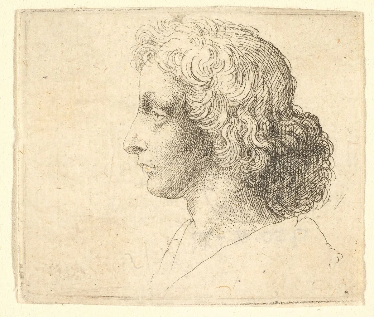 Head of young man with long hair in profile to the left — Leonardo da Vinci|Wenceslaus Hollar