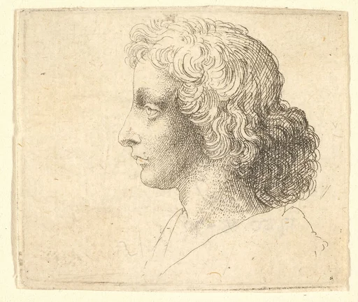Head of young man with long hair in profile to the left