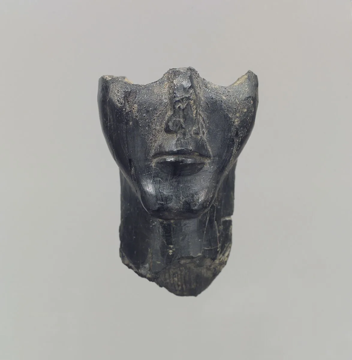 Lower half of a human head in the round — Unknown