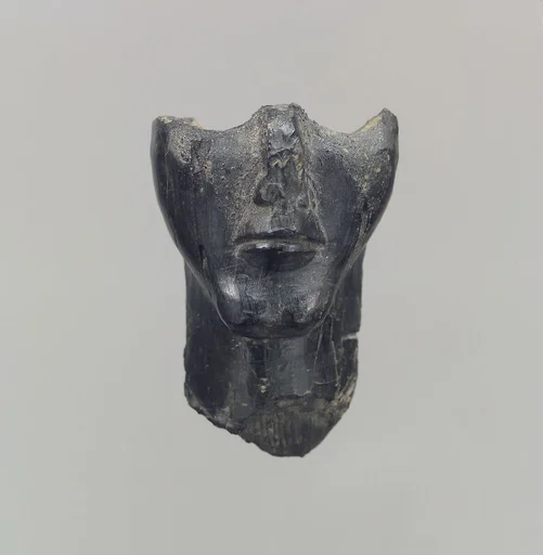 Lower half of a human head in the round