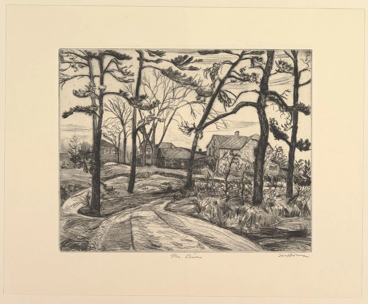 The Pines — Mortimer Borne|WPA