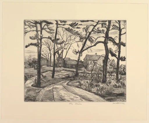 The Pines