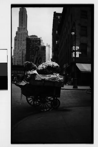 [Flower Cart, New York City]