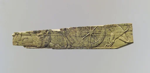 Panel fragment