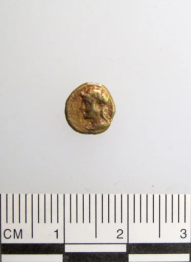 Gold coin