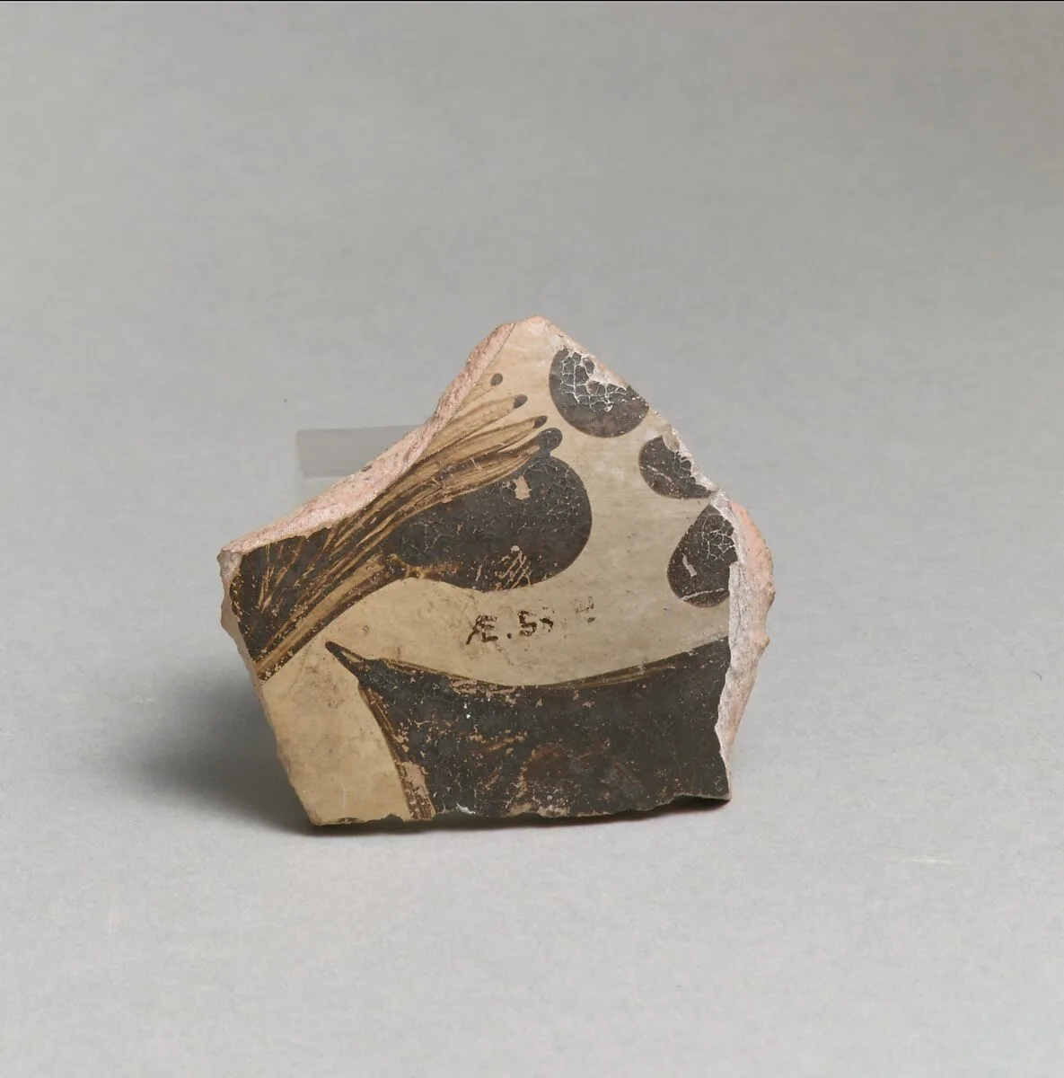 Terracotta vessel fragment with floral design — Unknown